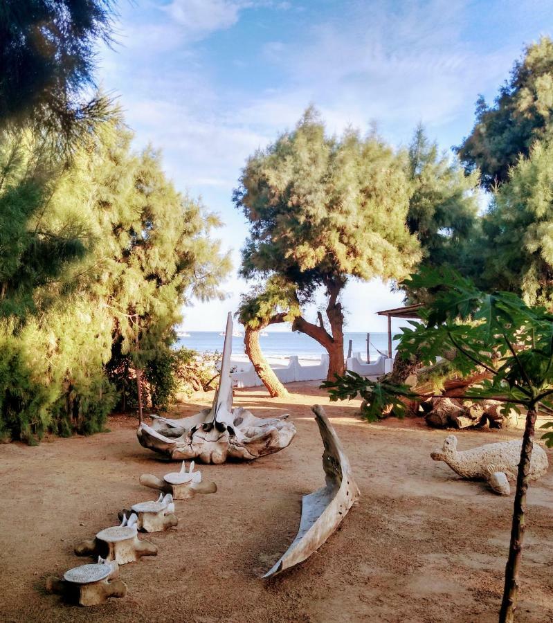 Punta Ballenas Mancora Lodge 外观 照片